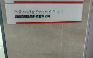 西藏安琪生物科技有限公司