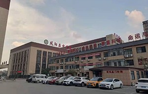 凤阳县中医院