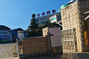 云南福瑞达进出有限公司