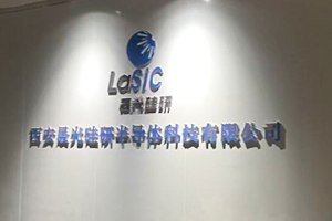 西安晟光硅研半导体科技有限公司SYZ-V-20L