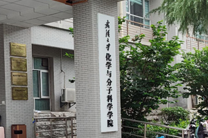 武汉大学化学与分子科学学院