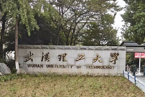 武汉理工大学SYS-II-10L