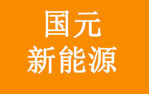 国元新能源科技发展(武汉)有限公司