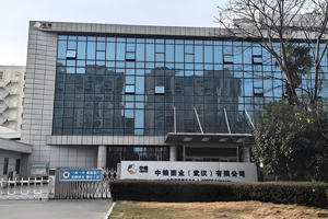 中粮面业（武汉）有限公司